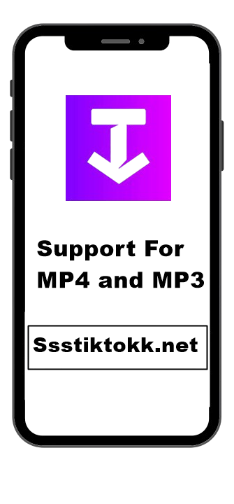 Support for MP4 and MP3 Support for MP4 and MP3